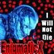 EnigmaticX