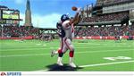 Madden 09