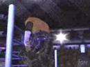 WWE Smackdown VS RAW 2007 - Matt Hardy