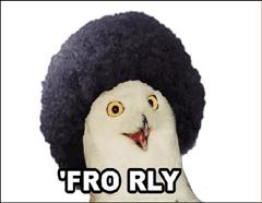 o rly