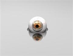 I Have my EYE on You