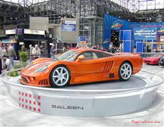 SALEEN