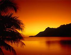 Suunset