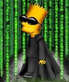 Bart