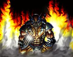 wolverine Fire