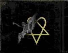 HIM Heartogram