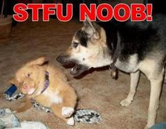 NOOB!