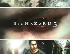 Biohazard 5 Display Poster