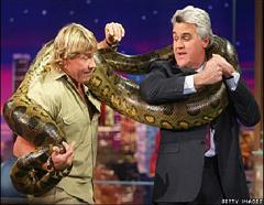 Steve Irwin 2