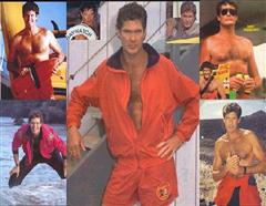 david hasslehoff